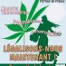 En 2012, une autre politique des drogues est possible!